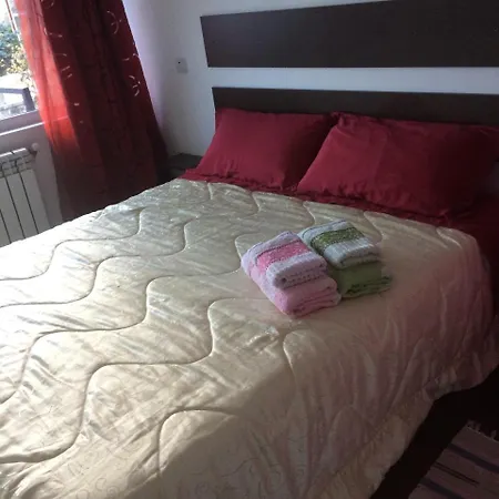 House Homestay *
